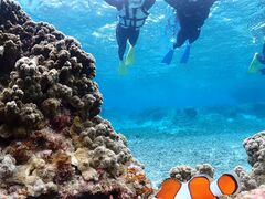 MONKEY NAVY�̎ʐ^2