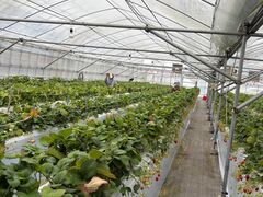 �ɂ����肢�������̎ʐ^1