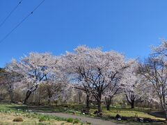 �Q�^�Q�^5����̒��V���K�[�f���Y�ւ̓��e�ʐ^1