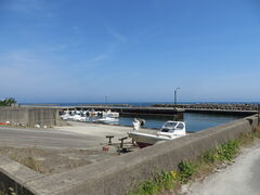 �Ԃ���񂳂�̓��g�Ñ��C�l�^�������̓��e�ʐ^1