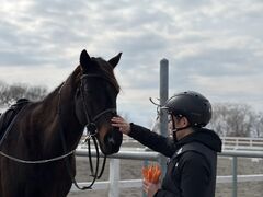 �ɂ������Ճz���V����n�N���u�̎ʐ^2