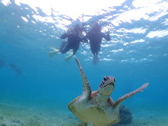 Nami�{�Ó��̎ʐ^1