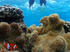 Nami�{�Ó��̎ʐ^2