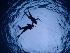 Nami�{�Ó��̎ʐ^3