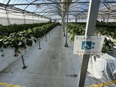 �_���N�o���Y�t�@�[���̎ʐ^1