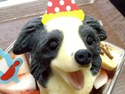 4�l�̂��[����񂳂�̂��َq�H�[ mionon�̓��e�ʐ^1