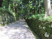 �Ԃ���񂳂�̔p���Ղ̓��e�ʐ^1