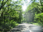 �Ԃ���񂳂�̑�R���؏��̓��e�ʐ^2