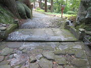 �Ԃ���񂳂�̖����̋��̓��e�ʐ^2