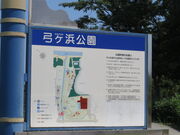 �Ԃ���񂳂�̋|���l�����̓��e�ʐ^2