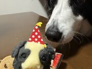 4�l�̂��[����񂳂�̂��َq�H�[ mionon�̓��e�ʐ^1