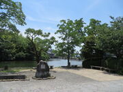 �Ԃ���񂳂�̉���㊎�̓��e�ʐ^2