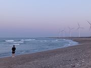 ����������̓���l�C�݂̓��e�ʐ^3