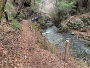 �Ɩ�����̉J��̑�i�����j�̓��e�ʐ^2