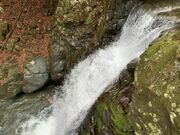 �Ɩ�����̉J��̑�i�����j�̓��e�ʐ^4