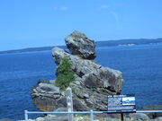 �Ԃ���񂳂�̉z�̒��l�̓��e�ʐ^1