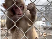 ���D�����񂳂�̍����R���R�������̓��e�ʐ^1