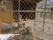 ���D�����񂳂�̍����R���R�������̓��e�ʐ^2