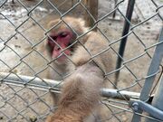 ���D�����񂳂�̍����R���R�������̓��e�ʐ^3