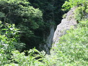 �Ԃ���񂳂�̋���̓��e�ʐ^1