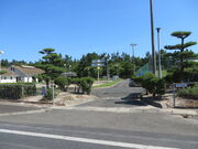 �Ԃ���񂳂�̂��������̓��e�ʐ^2