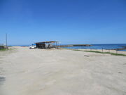 �Ԃ���񂳂�̃n���C�C������̓��e�ʐ^1