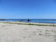 �Ԃ���񂳂�̃n���C�C������̓��e�ʐ^2