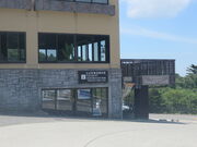 �Ԃ���񂳂�̑�R���ό��ē����̓��e�ʐ^1