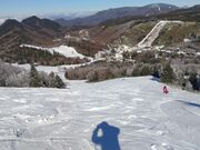 �܂ނ��̂т񂳂�̎u�ꍂ���@�F�̓��@�X�L�[��̓��e�ʐ^2