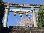 �Ƃ����񂳂�̒��R���L���h�̓��e�ʐ^4