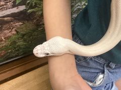 �A�jPON���[���h�̎ʐ^3
