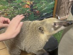 �A�jPON���[���h�̎ʐ^4