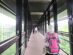 鶴亀松竹梅扇さんの天龍峡大橋 そらさんぽ天龍峡への投稿写真1