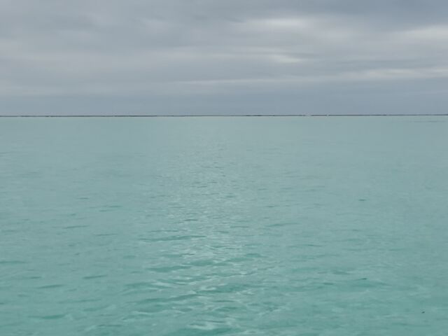 �~�J�̔��܂�ł��A���������o��ƊC���Y��ȐF�ɂȂ�܂����B_tome cruise