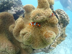 Nami�{�Ó��̎ʐ^1