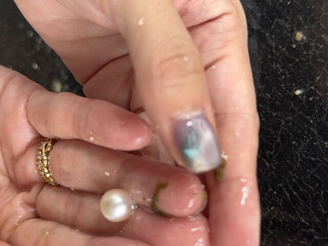 ��o������̐^��_Yamashita-Pearl