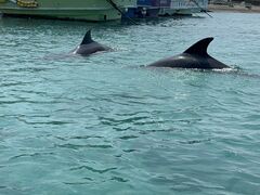 �����_�C�r���O�T�[�r�X�@Smiley Dive�̎ʐ^1