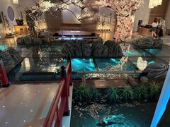 AQUARIUM�~ART atoa�̎ʐ^1