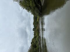 �J�k�[�V���b�v�q���C���̎ʐ^2