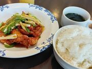 K2����̃o�[�~���� ���c���x�V���X�̓��e�ʐ^5