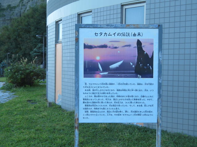 �Z�^�J���C��_�Z�^�J���C��