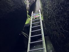 �S��ό�����̎ʐ^1