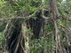 �䂤������̃u���[�t�B�[���h�ւ̓��e�ʐ^2