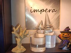 impera accessory�̎ʐ^2