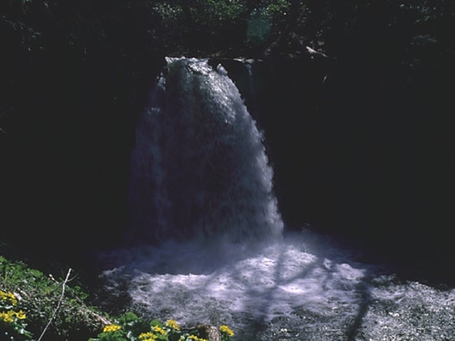 ����̑�_����̑�