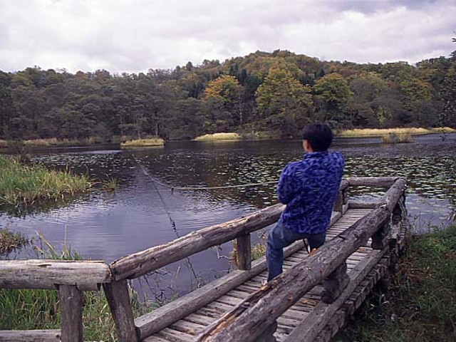 ����_����