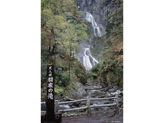 �H�߂̑�_�H�߂̑�