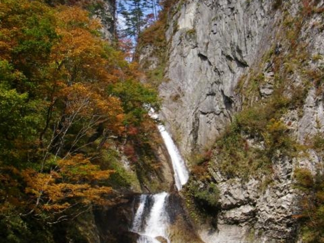 �����̑�