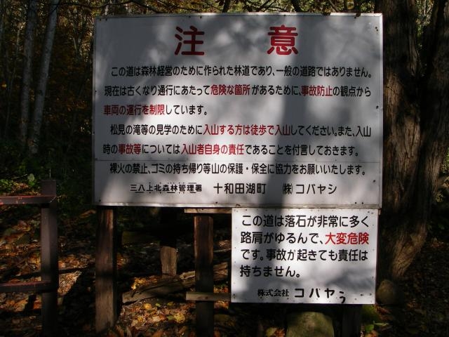 �����̑�