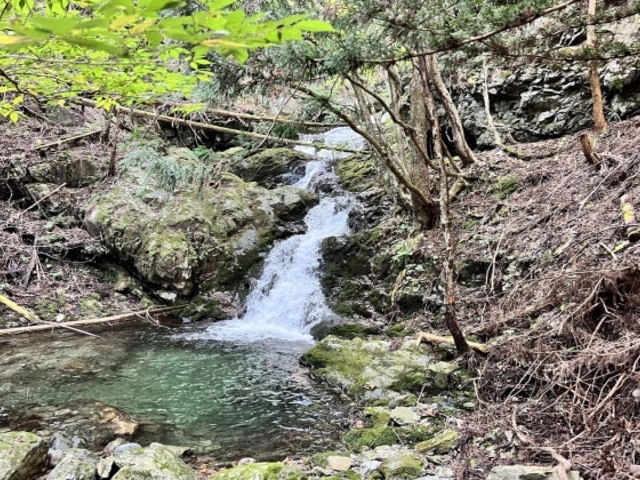 ��䃖��̎ʐ^1